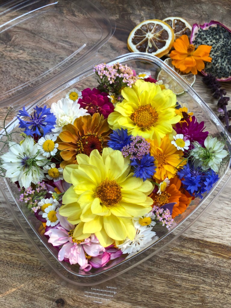 LilGrow Edible Microgreen.