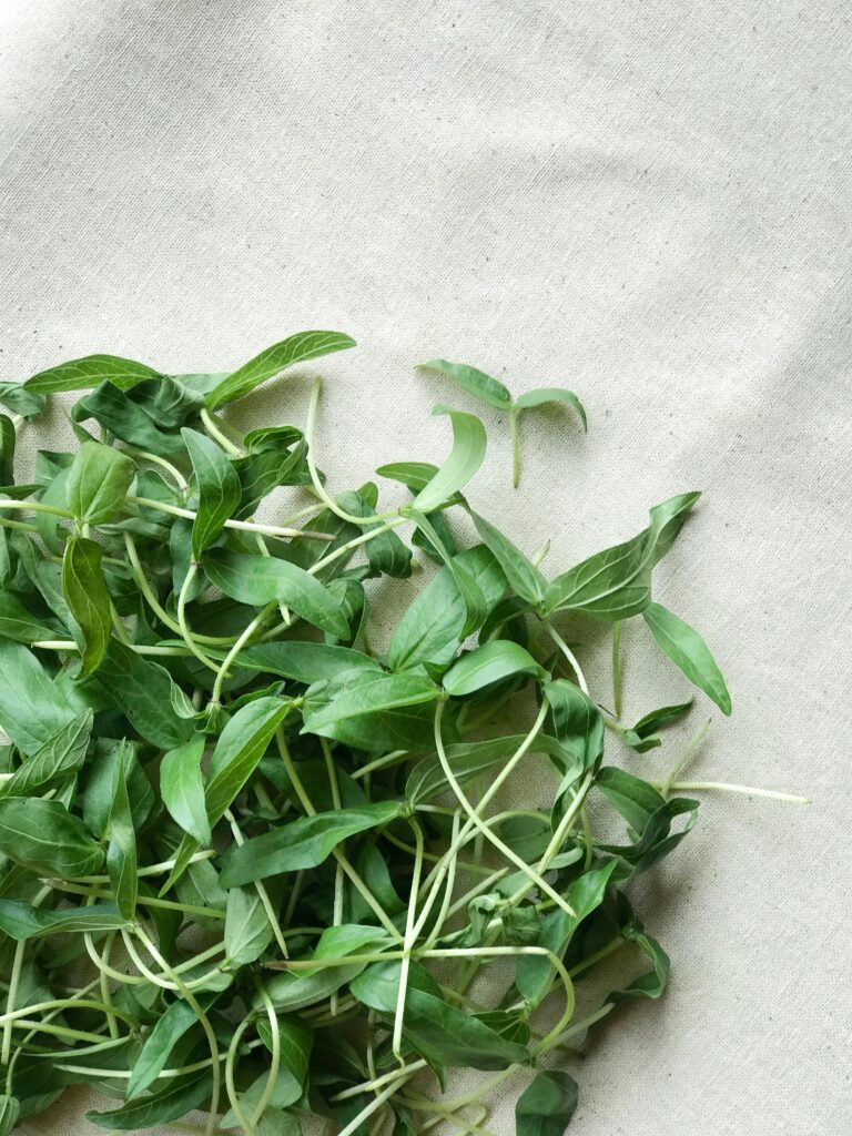 LilGrow Microgreen